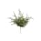 17" Fern Bush by Ashland®
